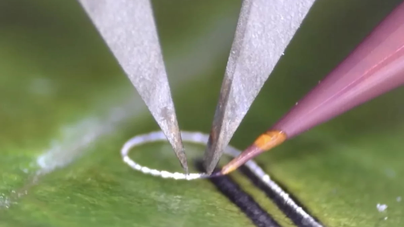 Inginerii au creat un dispozitiv care permite aplicarea componentelor electronice pe țesuturi vii și pe implanturi medicale fără deteriorări