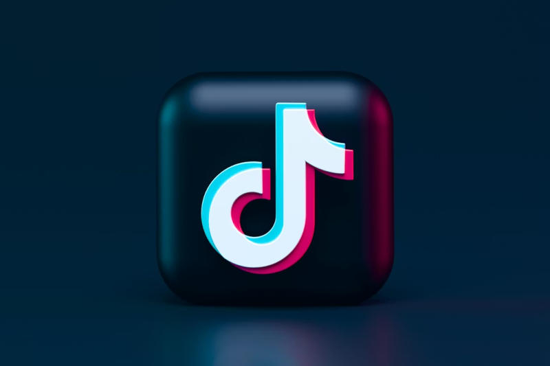 TikTok provoacă statutul de „poartă” în cea mai înaltă instanță europeană.
