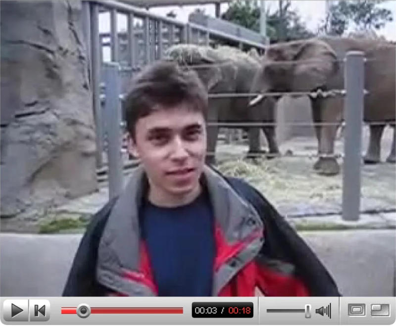 Primele videoclipuri de pe YouTube au intrat în colecția muzeului.