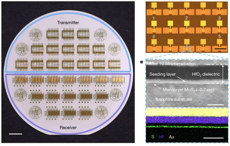 Cercetătorii chinezi au creat electronice transparente la radiație, rezistente la radiații.