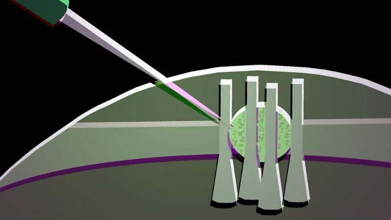 Cercetătorii au transformat o picătură de cristal lichid într-un tranzistor optic flexibil pentru viitoarele cipuri fotonice