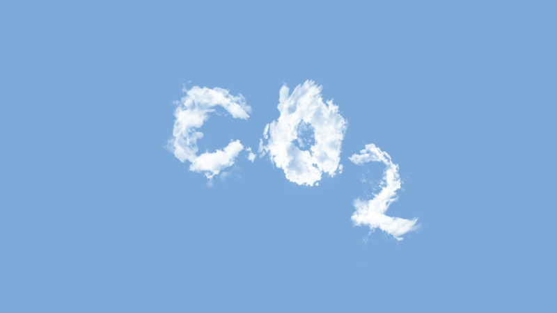 Cinci sute de mii s-au transformat în zeci de milioane: inteligența artificială a accelerat creșterea cererii pentru credite de carbon la gigantii tehnologici