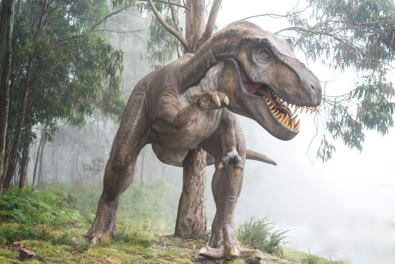 Inteligența artificială ajută paleontologii să identifice dinozaurii pe baza urmelor lor fosilizate