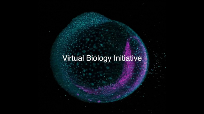 Biohub-ul lui Mark Zuckerberg a început să accelereze tratamentul tuturor bolilor, utilizând modele AI de celule